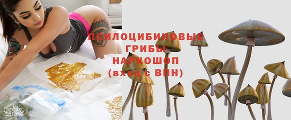 индика Алзамай