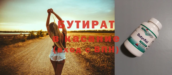 индика Алзамай