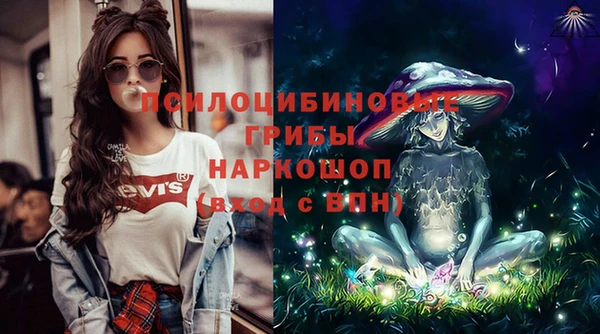 индика Алзамай