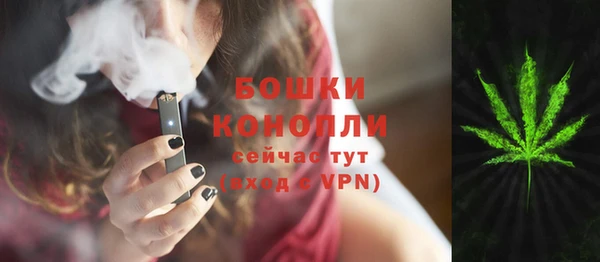 индика Алзамай