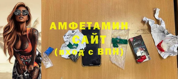 индика Алзамай