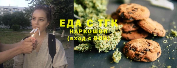 индика Алзамай