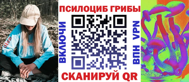 где купить наркоту  Дмитровск  Псилоцибиновые грибы Magic Shrooms 